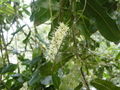 Thumbnail for version as of 14:01, 6 May 2007