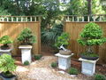 Thumbnail for version as of 15:20, 20 May 2007