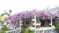 Thumbnail for version as of 17:46, 18 December 2009