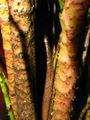 Thumbnail for version as of 16:54, 14 April 2010