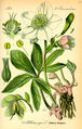 Thumbnail for version as of 13:29, 14 April 2007