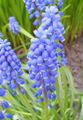 Thumbnail for version as of 20:32, 24 January 2008