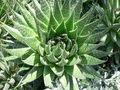 Thumbnail for version as of 12:32, 6 July 2007