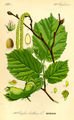 Thumbnail for version as of 03:55, 13 August 2007