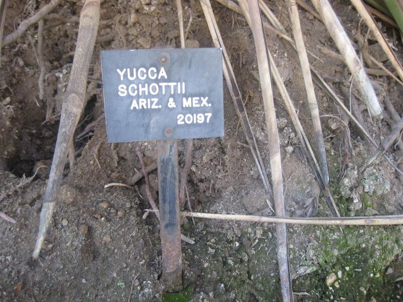 File:1280px-IMG 2382 hunt0903.jpg