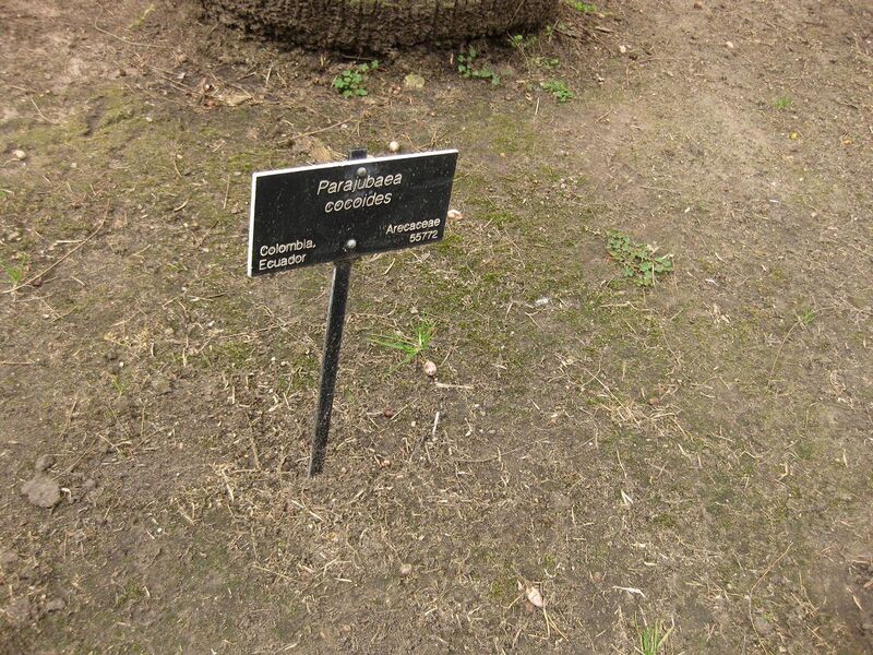 File:1280px-IMG 4058 hunt0904.jpg