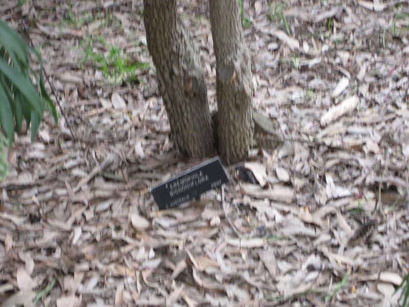 File:1280px-IMG 4858 hunt0904.jpg