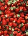 Thumbnail for version as of 09:35, 29 August 2007