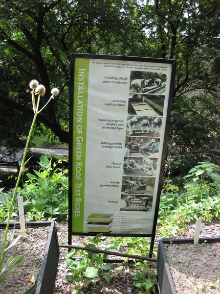 File:IMG 0584 bbg09.jpg
