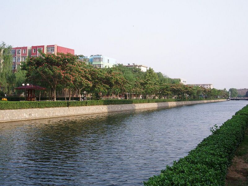 File:1024px-AlbizziaJulibrissin6.jpg