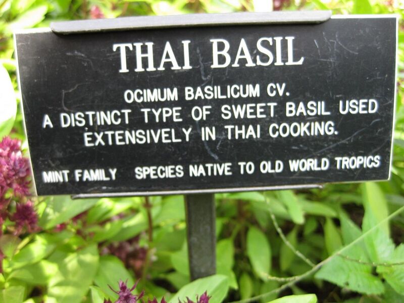 File:1280px-IMG 0589 bbg09.jpg