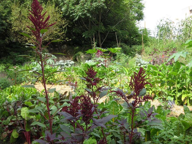 File:1280px-IMG 0601 bbg09.jpg