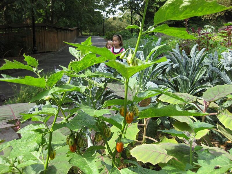 File:1280px-IMG 0609 bbg09.jpg