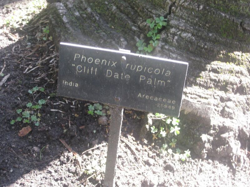 File:1280px-IMG 2099 hunt0903.jpg