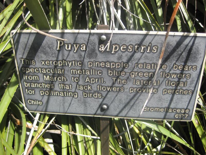 File:1280px-IMG 2411 hunt0903.jpg