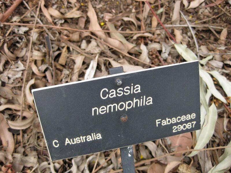 File:1280px-IMG 4664 hunt0904.jpg