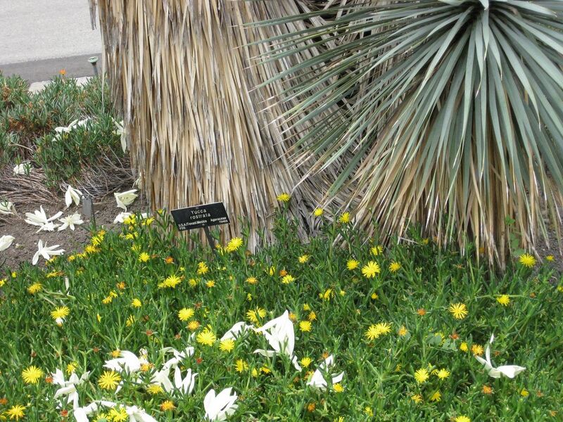 File:1280px-IMG 7421 hunt09jun.jpg