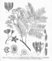 Thumbnail for version as of 10:32, 29 April 2025
