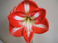 Thumbnail for version as of 00:21, 24 January 2008