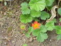 Thumbnail for version as of 08:57, 29 April 2025