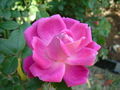 Thumbnail for version as of 12:35, 11 September 2007