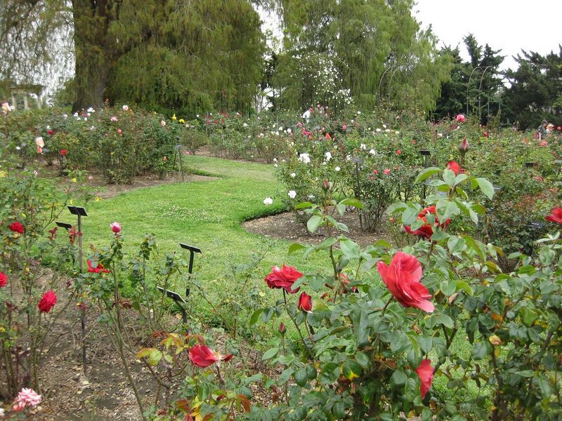 File:1280px-IMG 5364 hunt0904.jpg