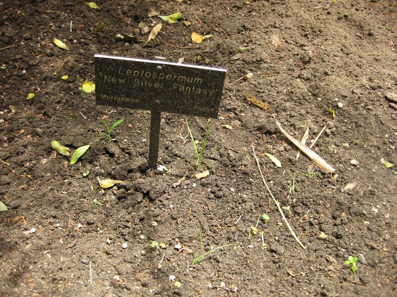 File:1280px-IMG 7271 hunt09jun.jpg