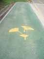 Ginkgo leaves painted on an asphalt walkway to guide tourists to a ginkgo forest in Dongducheon, South Korea.