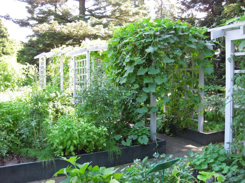 File:IMG 0383 nybg09.jpg