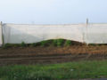 Thumbnail for version as of 05:55, 25 August 2007