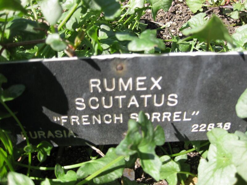 File:1280px-IMG 1871 hunt09oct.jpg