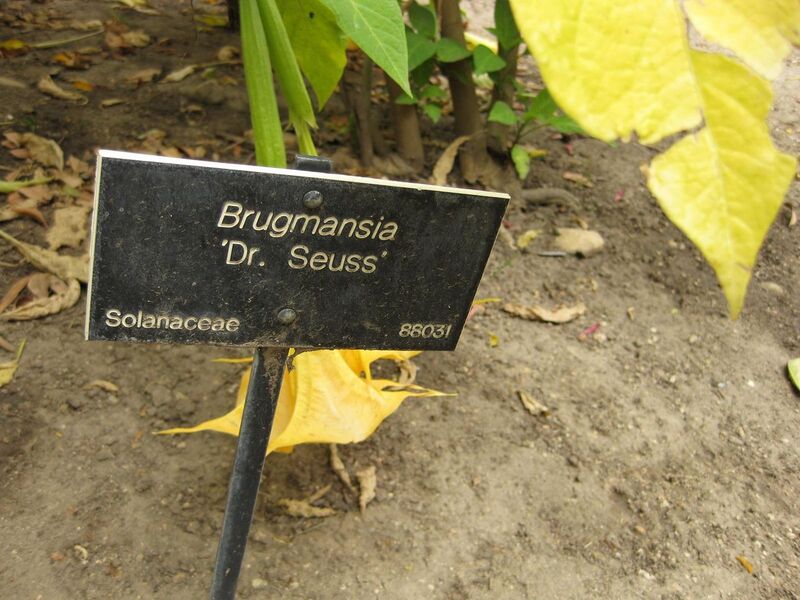 File:1280px-IMG 4990 hunt0904.jpg