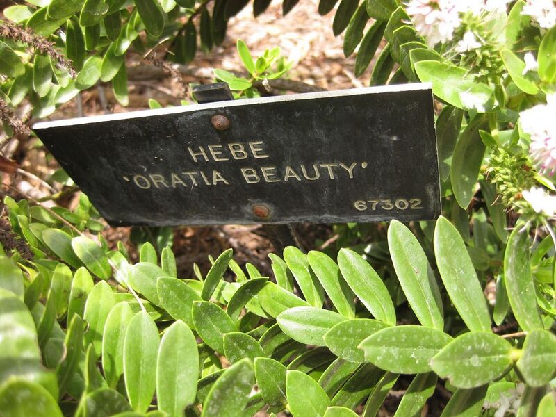 File:1280px-IMG 7363 hunt09jun.jpg