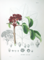 Thumbnail for version as of 09:11, 29 April 2025