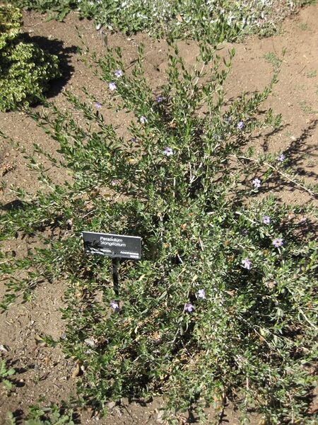 File:576px-IMG 2042 hunt09oct.jpg