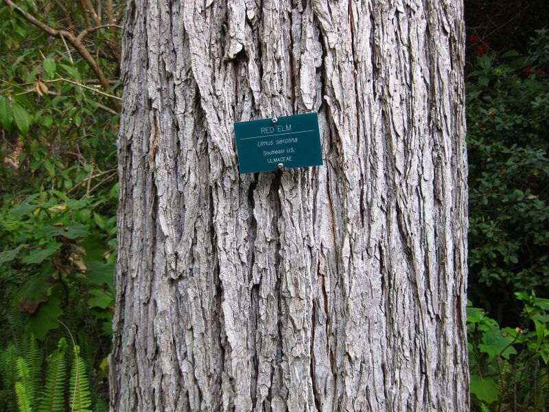 File:Off59h462b5us84xnyb8f2xb4k1cg4v.jpg