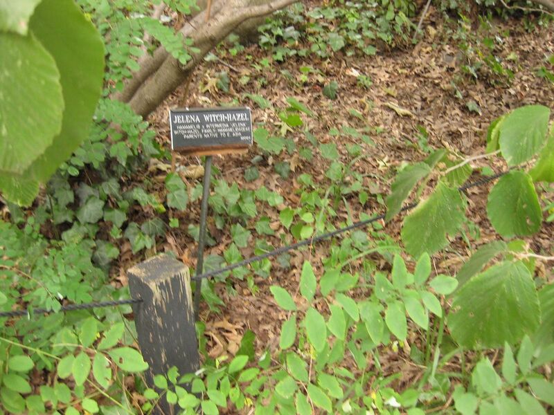 File:1280px-IMG 1402 bbg09.jpg