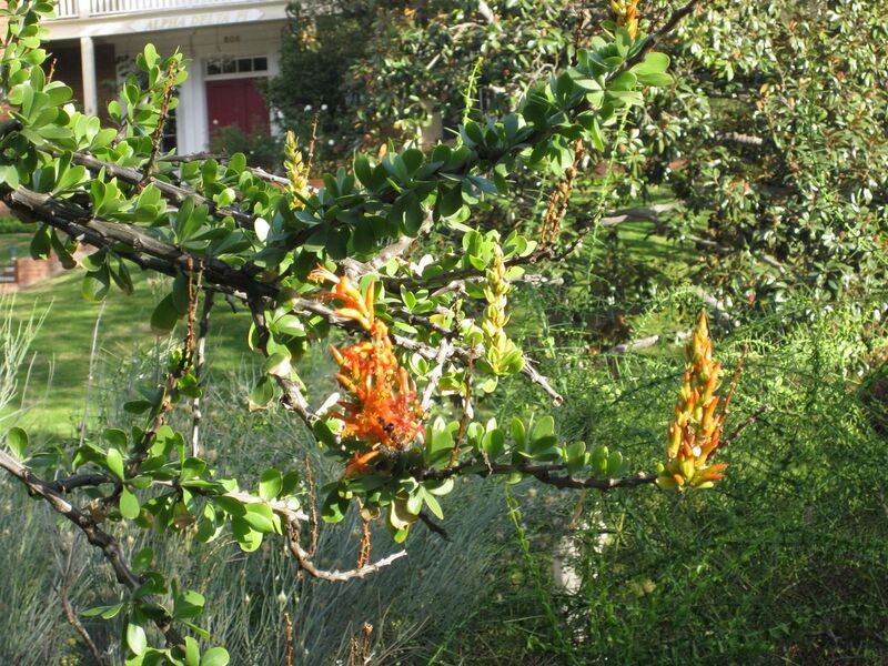 File:1280px-IMG 2734 ucla09.jpg