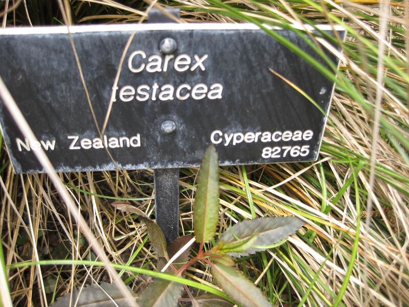 File:1280px-IMG 4476 hunt0904.jpg