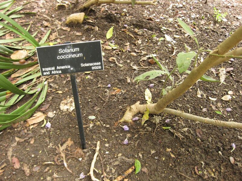 File:1280px-IMG 7014 hunt09jun.jpg