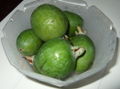 Thumbnail for version as of 05:18, 17 November 2009
