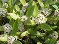Thumbnail for version as of 12:26, 7 November 2007