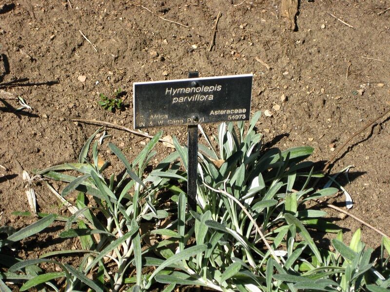 File:1280px-IMG 2057 hunt09oct.jpg