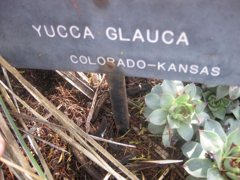 File:1280px-IMG 2357 hunt0903.jpg