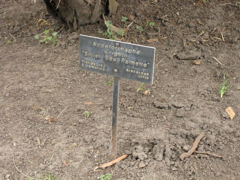 File:1280px-IMG 4084 hunt0904.jpg