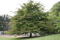 Thumbnail for version as of 10:32, 14 October 2007