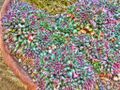 Thumbnail for version as of 10:30, 29 April 2025