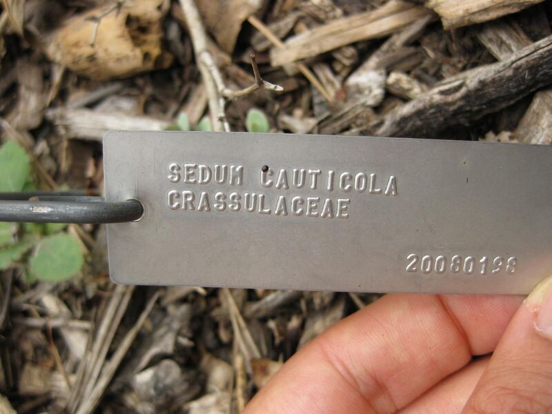 File:1280px-IMG 1461 bbg09.jpg