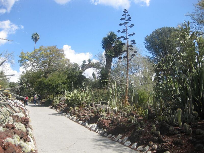 File:1280px-IMG 2256 hunt0903.jpg
