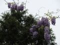 Thumbnail for version as of 10:32, 29 April 2025